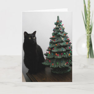 Cartes Pour Fêtes Annuelles Cat de Christmas
