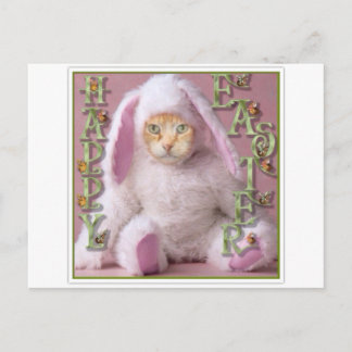 Cartes Pour Fêtes Annuelles Cat Easter Bunny Claude
