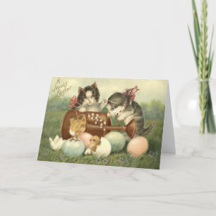 Cartes Pour Fêtes Annuelles Cat Kitten Easter Colored Painted Egg Chick