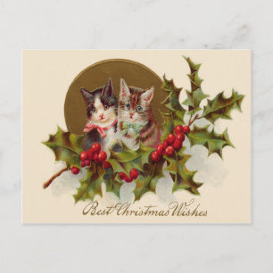Cartes Pour Fêtes Annuelles Cat Kitten Holly Winterberry