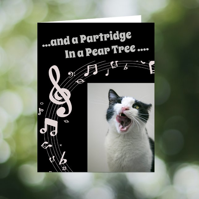 Cartes Pour Fêtes Annuelles Cat SINGING Humor Song 2 Christmas Card (Créateur téléchargé)