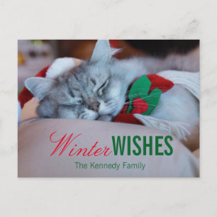 Cartes Pour Fêtes Annuelles Cat with christmas a et scarf, sleeping cat