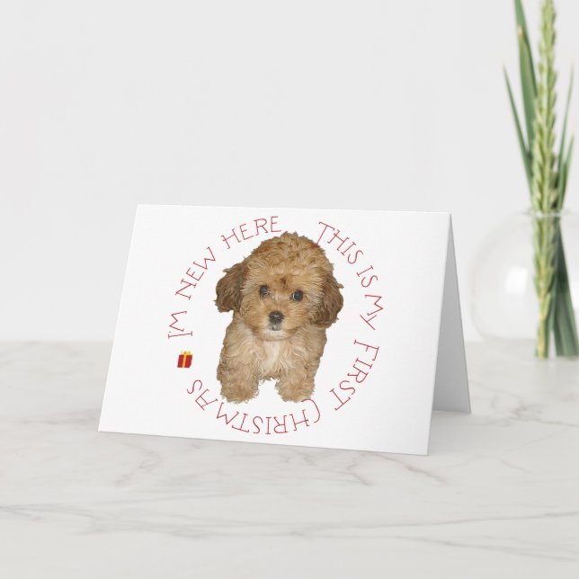 Cartes Pour Fêtes Annuelles Cavachon Chiot Premier Noël (Devant)