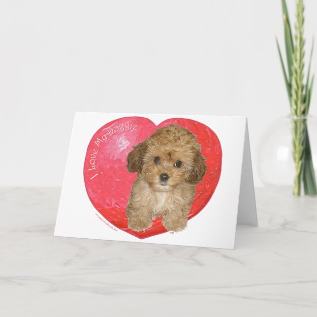 Cartes Pour Fêtes Annuelles Cavachon Saint-Valentin (Devant)