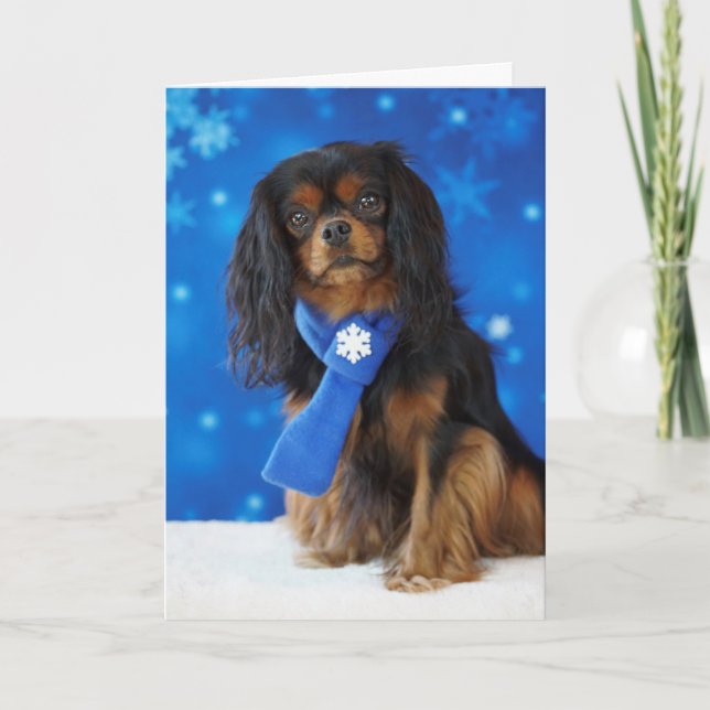 Cartes Pour Fêtes Annuelles Cavalier de vacances (Devant)