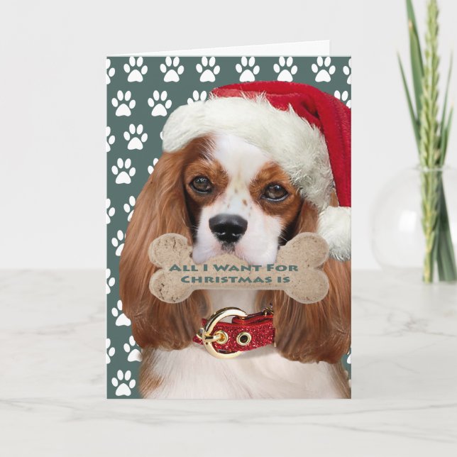 Cartes Pour Fêtes Annuelles Cavalier King Charles Baisers Pour Noël (Devant)