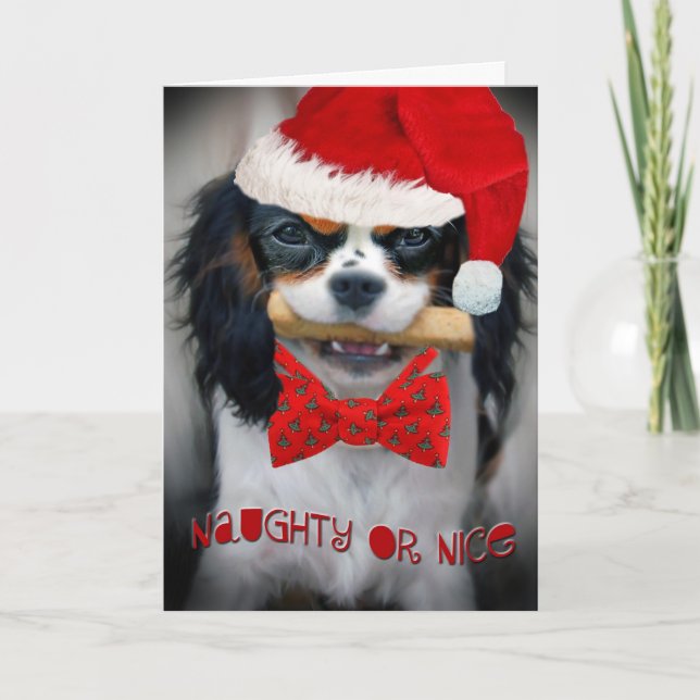 Cartes Pour Fêtes Annuelles Cavalier King Charles Joyeux Noël (Devant)