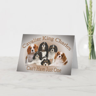 Cartes Pour Fêtes Annuelles Cavalier King Charles ne peut pas avoir seulement