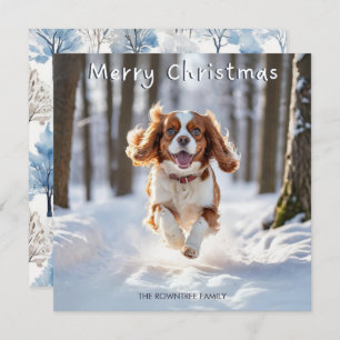 Cartes Pour Fêtes Annuelles Cavalier King Charles Spaniel Chien Joyeux Noël