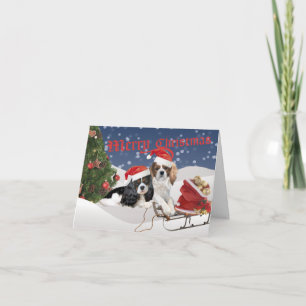 Cartes Pour Fêtes Annuelles Cavalier King Charles Spaniel Joyeux Noël
