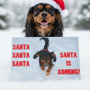 Cartes Pour Fêtes Annuelles Cavalier King Charles Spaniel Noël