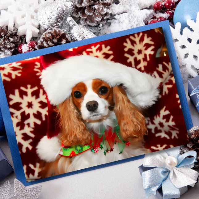 Cartes Pour Fêtes Annuelles Cavalier King Charles Spaniel Noël Amour (Créateur téléchargé)