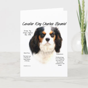 Cartes Pour Fêtes Annuelles Cavalier King Charles Spaniel (tricolore) Histoire