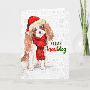 Cartes Pour Fêtes Annuelles Cavalier Roi Charles Spaniel Fleas NaviDOG