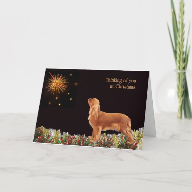 Cartes Pour Fêtes Annuelles Cavalier rouge de Noël (Devant)
