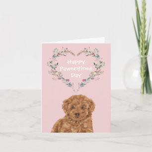 Cartes Pour Fêtes Annuelles Cavoodle Cavapoo Mélange Caniche Chien Saint-Valen