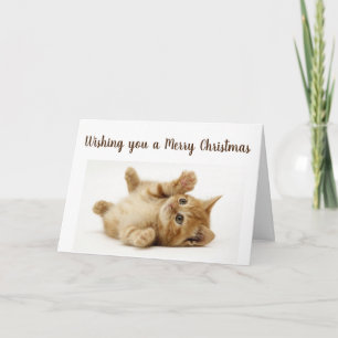 CARTES POUR FÊTES ANNUELLES CE PETIT CHAT VEUT DIRE **JOYEUX NOËL**