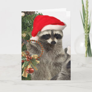 Cartes Pour Fêtes Annuelles Célébration de Noël Raccoon