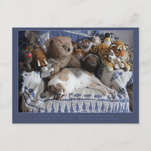 Cartes Pour Fêtes Annuelles "Cercle de la compassion" Miriam Kilmer risingdove