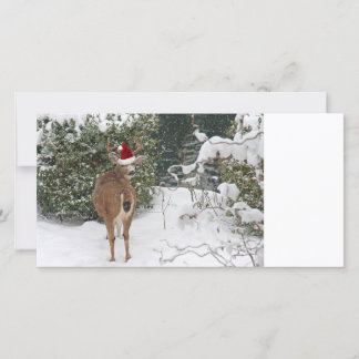 Cartes Pour Fêtes Annuelles Cerf de Noël