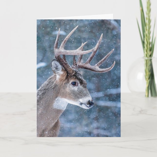 Cartes Pour Fêtes Annuelles Cerf de Noël (Devant)