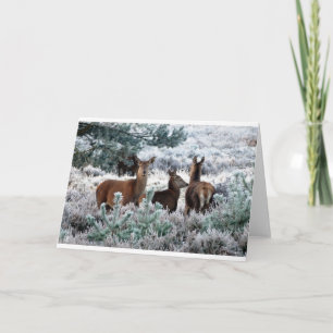 Cartes Pour Fêtes Annuelles Cerfs communs dans une scène d'hiver