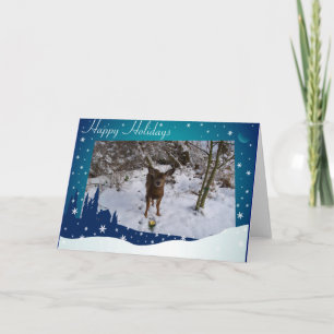 Cartes Pour Fêtes Annuelles Cerfs communs de Noël