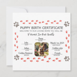 Cartes Pour Fêtes Annuelles Certificat de naissance personnalisé pour chiot