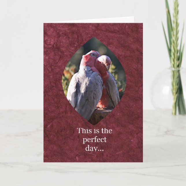 Cartes Pour Fêtes Annuelles C'est la journée parfaite (Devant)