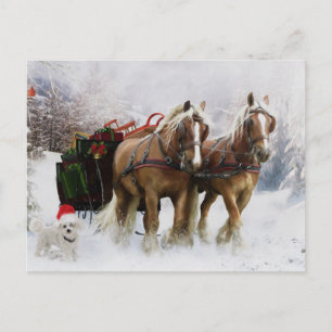 Cartes Pour Fêtes Annuelles C'est Noël
