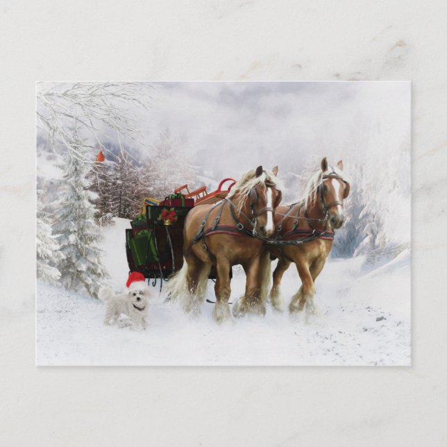 Cartes Pour Fêtes Annuelles C'est Noël (Devant)