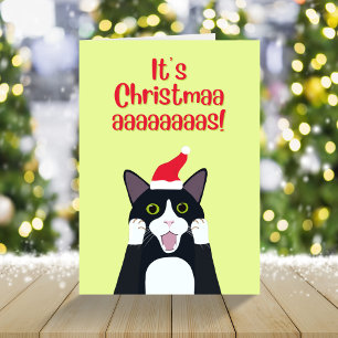 Cartes Pour Fêtes Annuelles C'est Noël drôle de dessin animé de chat tuxedo