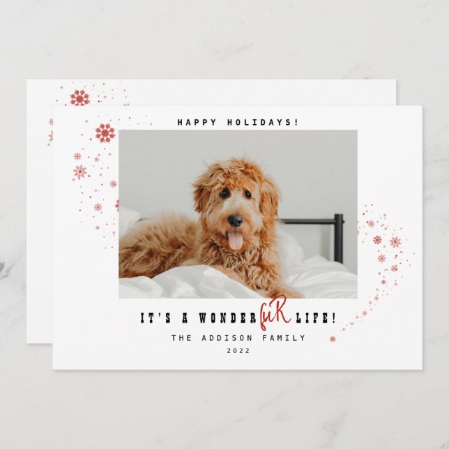 Cartes Pour Fêtes Annuelles C'est une merveilleFUR Vie animal de compagnie pho (Devant / Derrière)