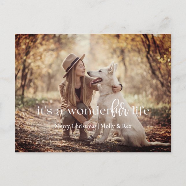 Cartes Pour Fêtes Annuelles C'est une WonderFUR Life : Pet Christmas Postcard (Devant)