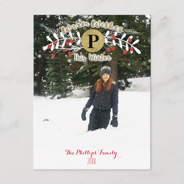 Cartes Pour Fêtes Annuelles Chaleureux souhaits cette photo de Noël d'hiver (Devant)