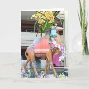 Cartes Pour Fêtes Annuelles Chameau de Noël