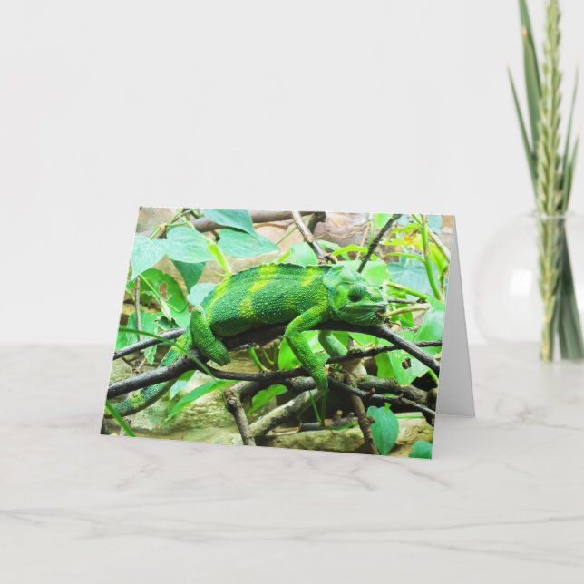 Cartes Pour Fêtes Annuelles Chameleon (Devant)