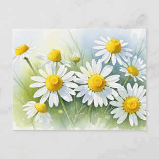 Cartes Pour Fêtes Annuelles Chamomille allemande en fleurs