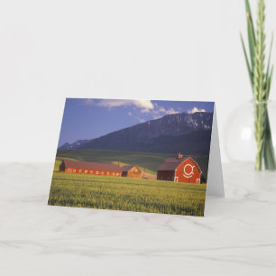 Cartes Pour Fêtes Annuelles Champ de blé dans la vallée de Wallowa, juste