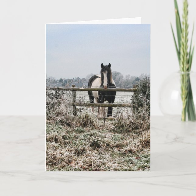 Cartes Pour Fêtes Annuelles Champ gelé (Devant)