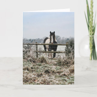 Cartes Pour Fêtes Annuelles Champ gelé