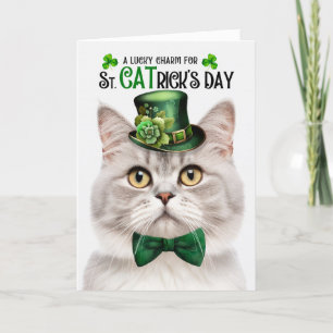 Cartes Pour Fêtes Annuelles Champagne Tabby Chat St CATrick's Day Charmant