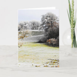 Cartes Pour Fêtes Annuelles Champs et arbres gelés