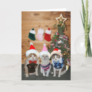 Cartes Pour Fêtes Annuelles Chandail personnalisable de Jacquard de