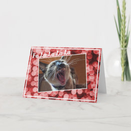 Cartes Pour Fêtes Annuelles Chant de Noël amusant Siamese Kitten Photo