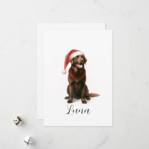 Cartes Pour Fêtes Annuelles Chapeau de chien labrador au chocolat de Noël Cart