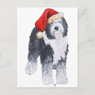 Cartes Pour Fêtes Annuelles Chapeau de Père Noël pour Vieux Chien de Berger An