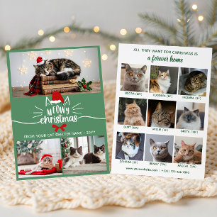 Cartes Pour Fêtes Annuelles Chapeau de Santa Rouge Vert Abri pour Chats Noël F