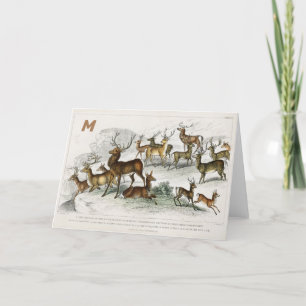 Cartes Pour Fêtes Annuelles Chapeau Red Deer Personnalisé, Dos, Roebuck, Cerf