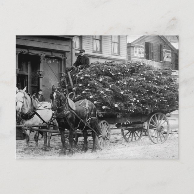 Cartes Pour Fêtes Annuelles Chargement des arbres de Noël, 1910 (Devant)